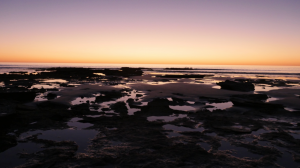 Screen Shot 2017-01-30 at 11.42.16 am