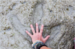 Screen Shot 2017-01-30 at 11.42.24 am