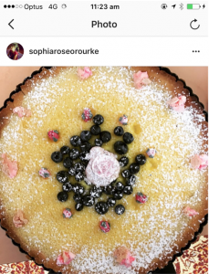 Screen Shot 2017-01-30 at 11.42.43 am