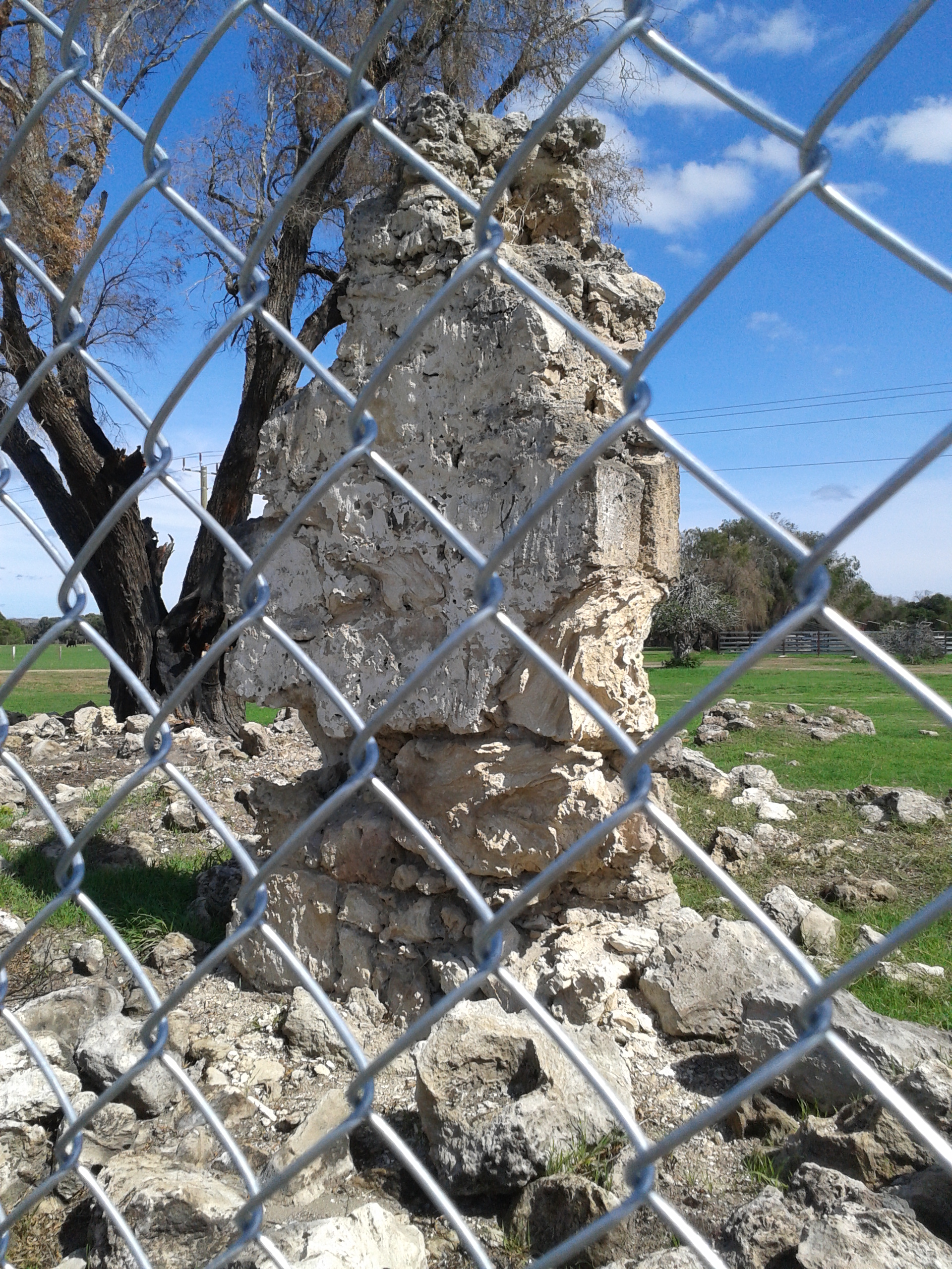 An Inside Look at Issue 62.1: John Weller’s ‘Wellington Location 205’