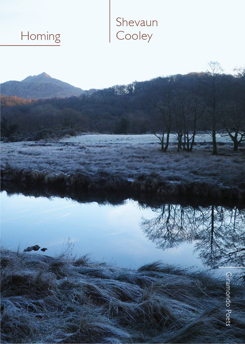 Going Places with A Bird Guide: A Review of Shevaun Cooley’s ‘Homing’