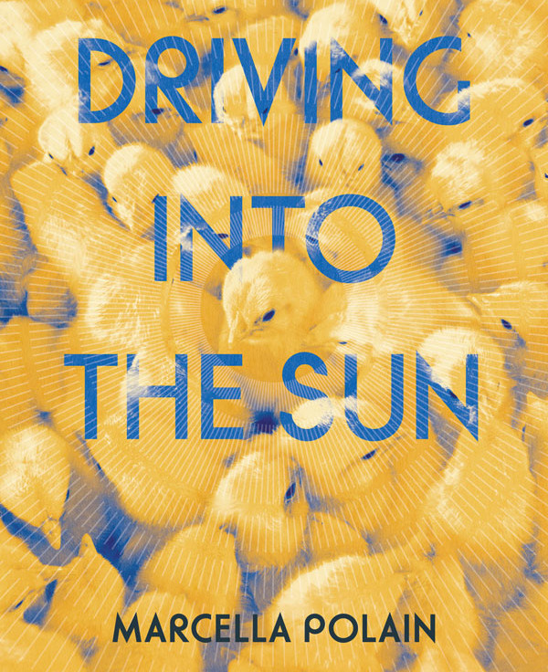Something trapped and frantic: Marcella Polain’s ‘Driving into the Sun’