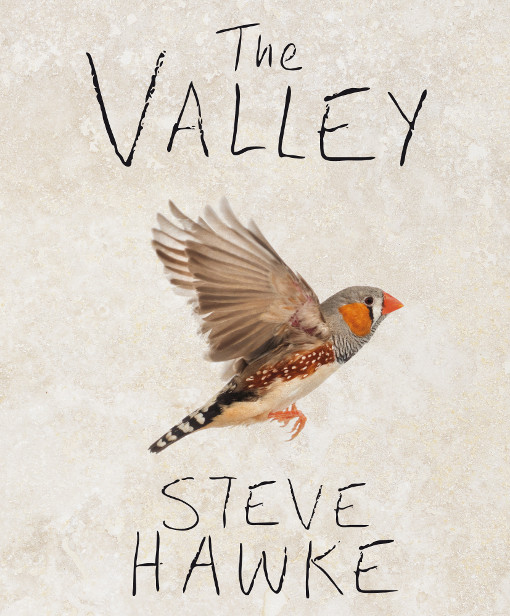 Review of ‘The Valley’ by Steve Hawke