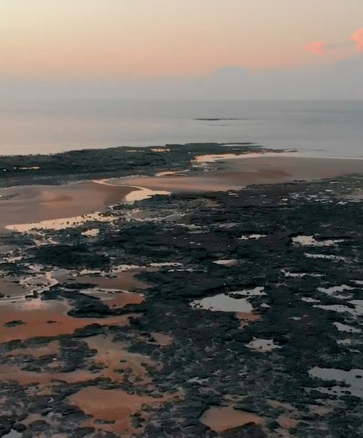 Call for Papers: Borderlands