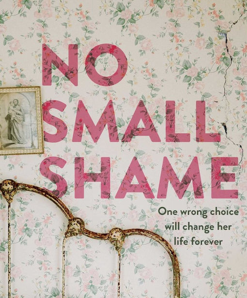 Review of ‘No Small Shame’ by Christine Bell
