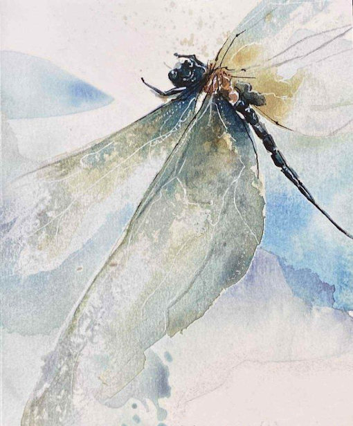 Review of ‘Dragonfly Wing’ by Veronica Lake