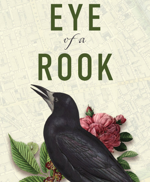 Review of ‘Eye of a Rook’ by Josephine Taylor
