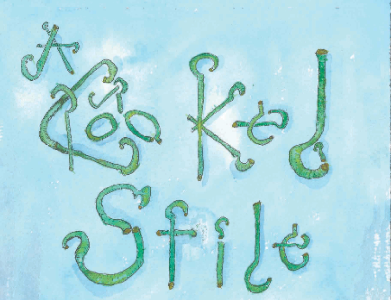 Review of ‘A Crooked Stile’ by Carol Jenkins