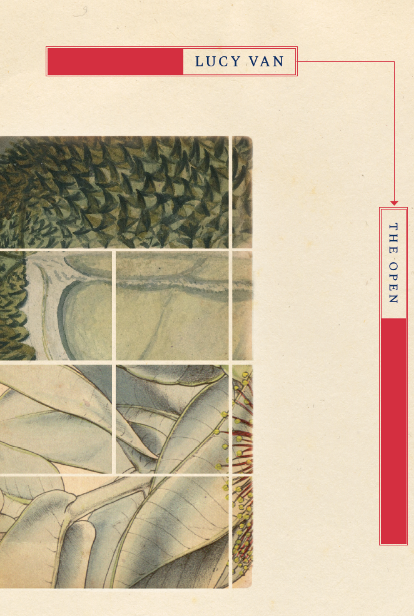 Review of ‘The Open’ by Lucy Van