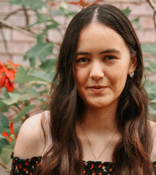 Giving a Little Push: how emerging poets conceive and cultivate voice in their work