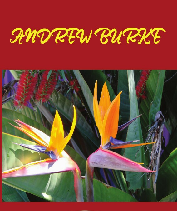 Review of ‘Andrew Burke, New & Selected’