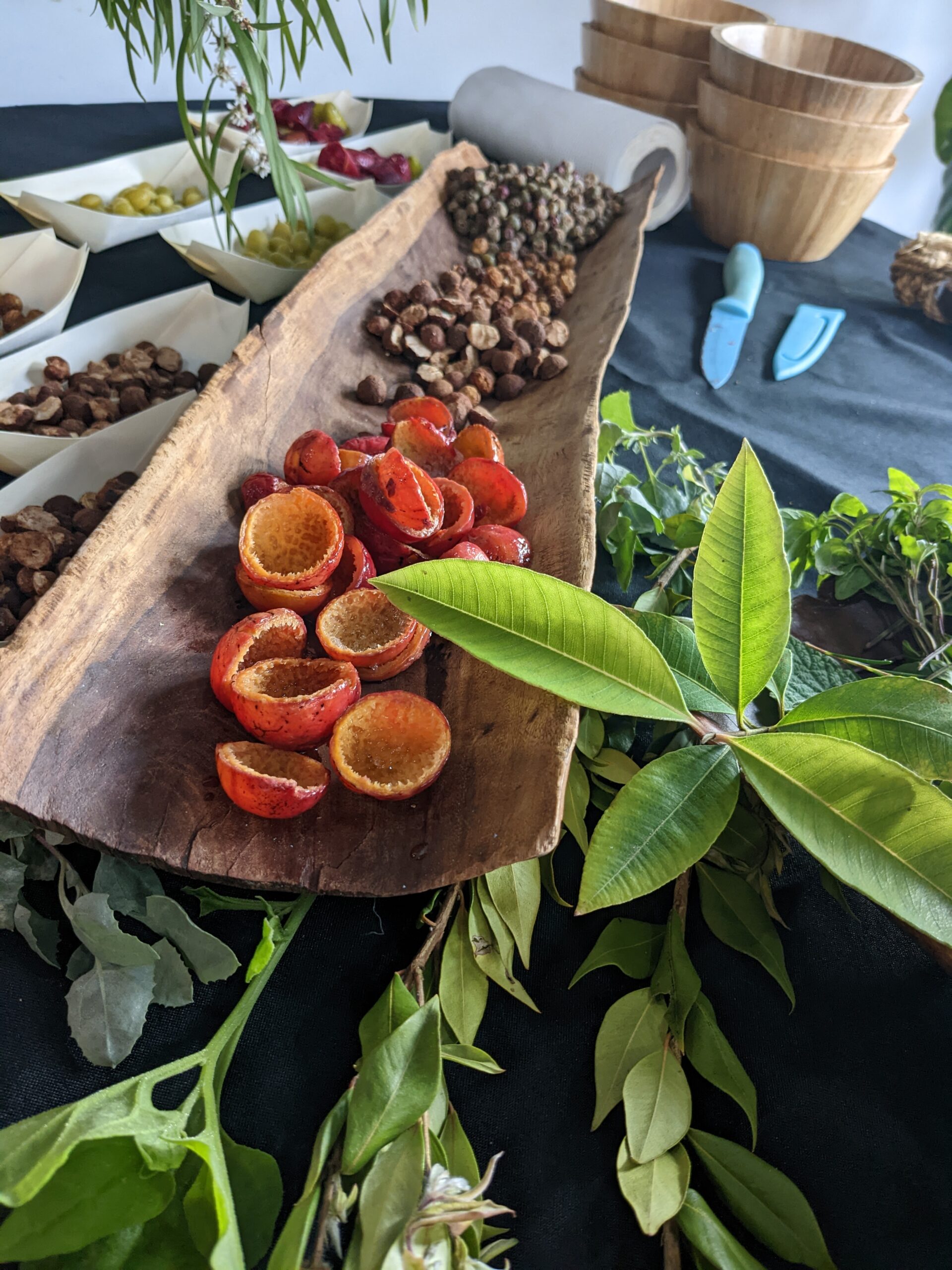 Event Review: ‘Aunty Dale Tilbrook’s Bush Tucker Talks & Tastings’