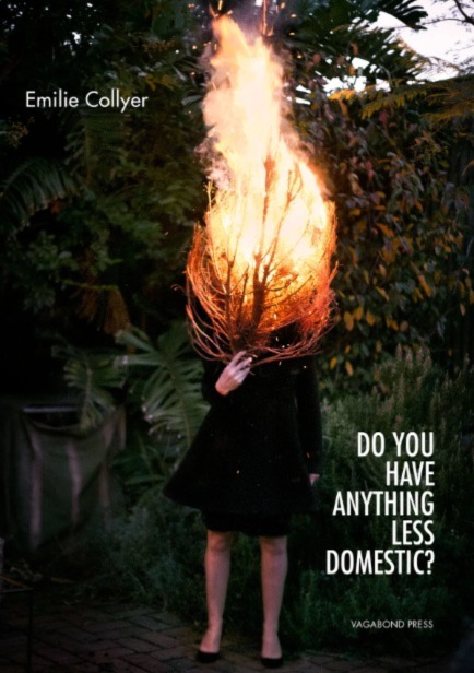 Review of ‘do you have anything less domestic?’ by Emilie Collyer