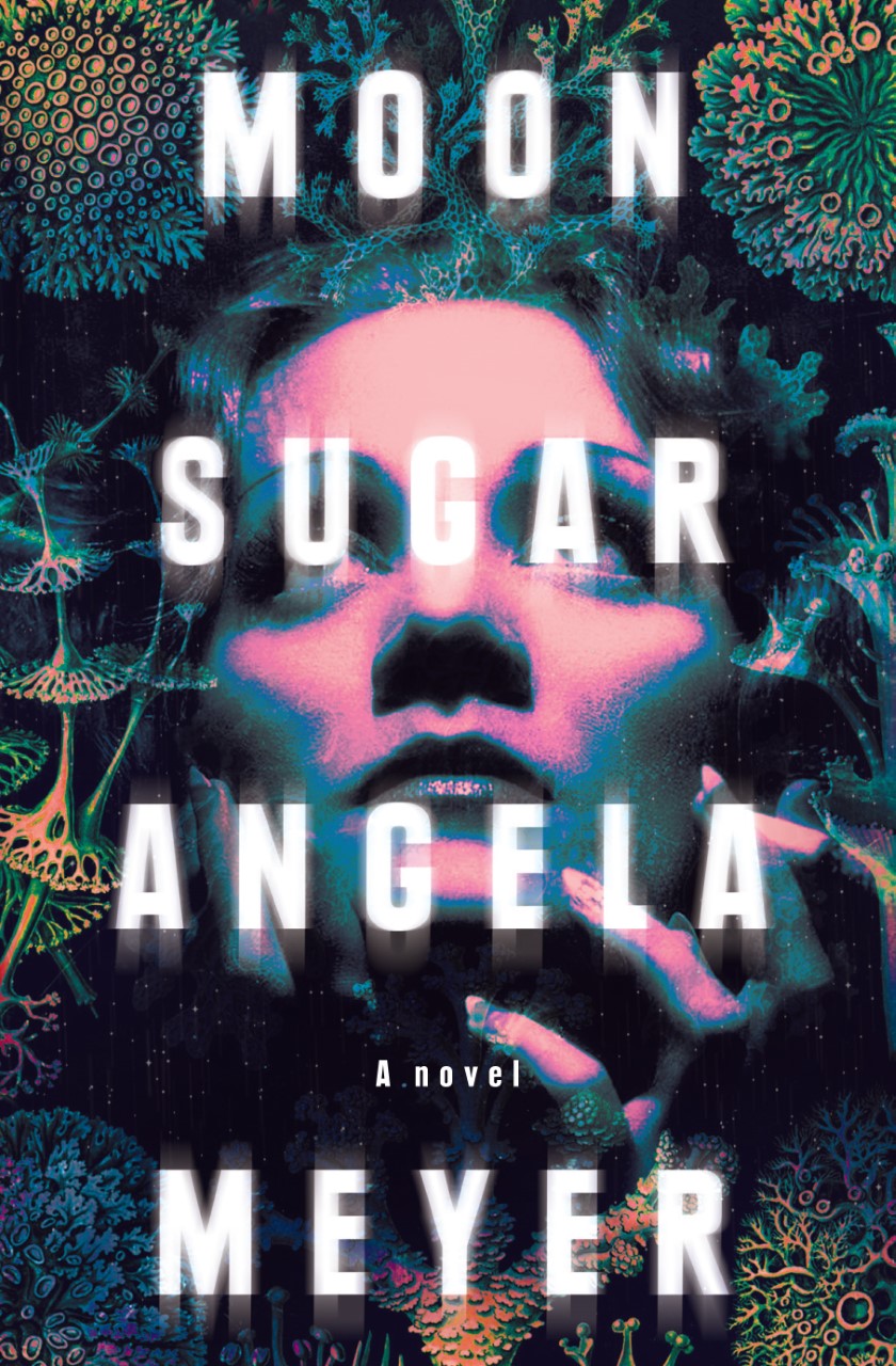 Review of ‘Moon Sugar’ by Angela Meyer