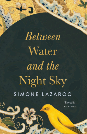 Review of ‘Between Water and the Night Sky’ by Simone Lazaroo
