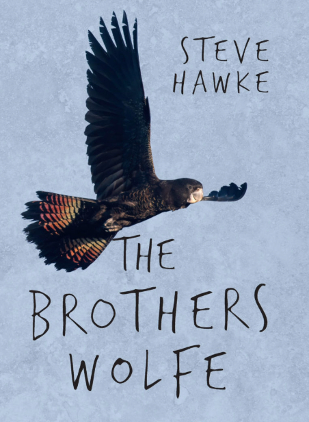 Review of ‘The Brothers Wolfe’ by Steve Hawke