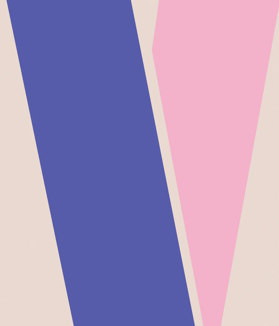 Review of ‘Netflicks: conceptual television in the streaming era’ by Tony Hughes-d’Aeth