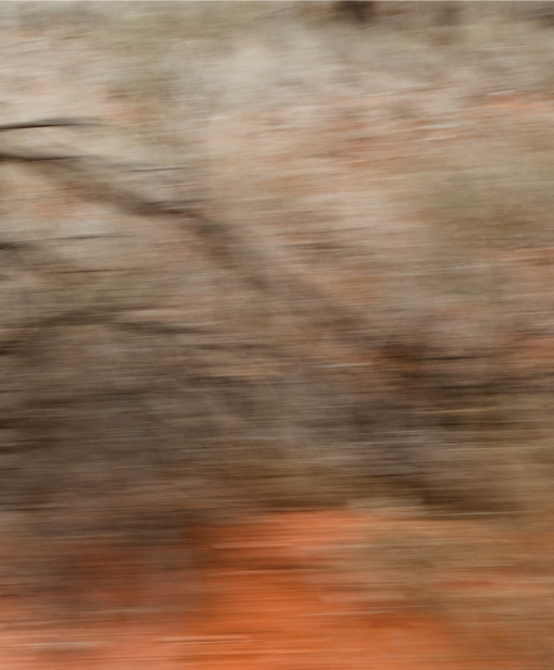 ‘Australian Idol’ by Pidj Flavell