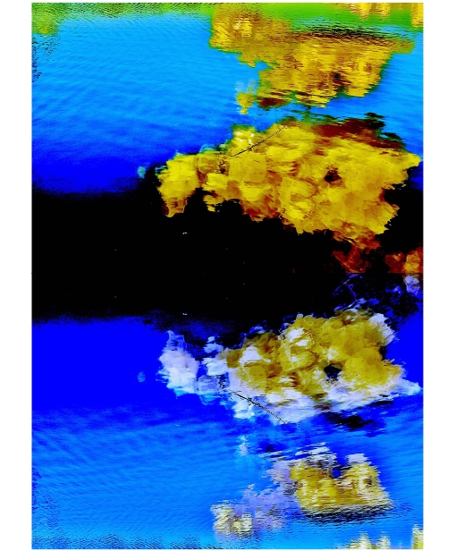 ‘Graphology Motes’ by John Kinsella