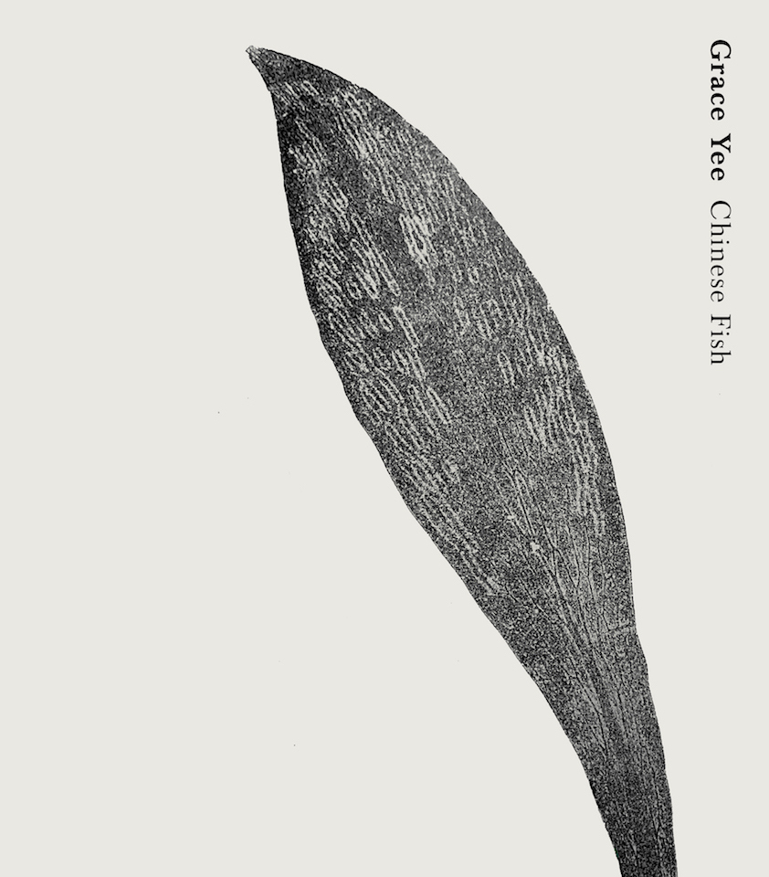 Review of ‘Chinese Fish’ by Grace Yee