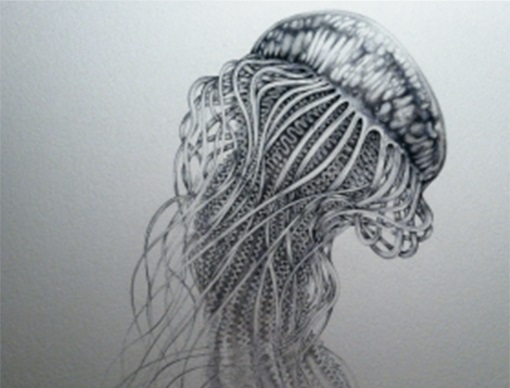 <i>Westerly</i> Issue 58.1